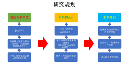 小分子化合物設(shè)計(jì)