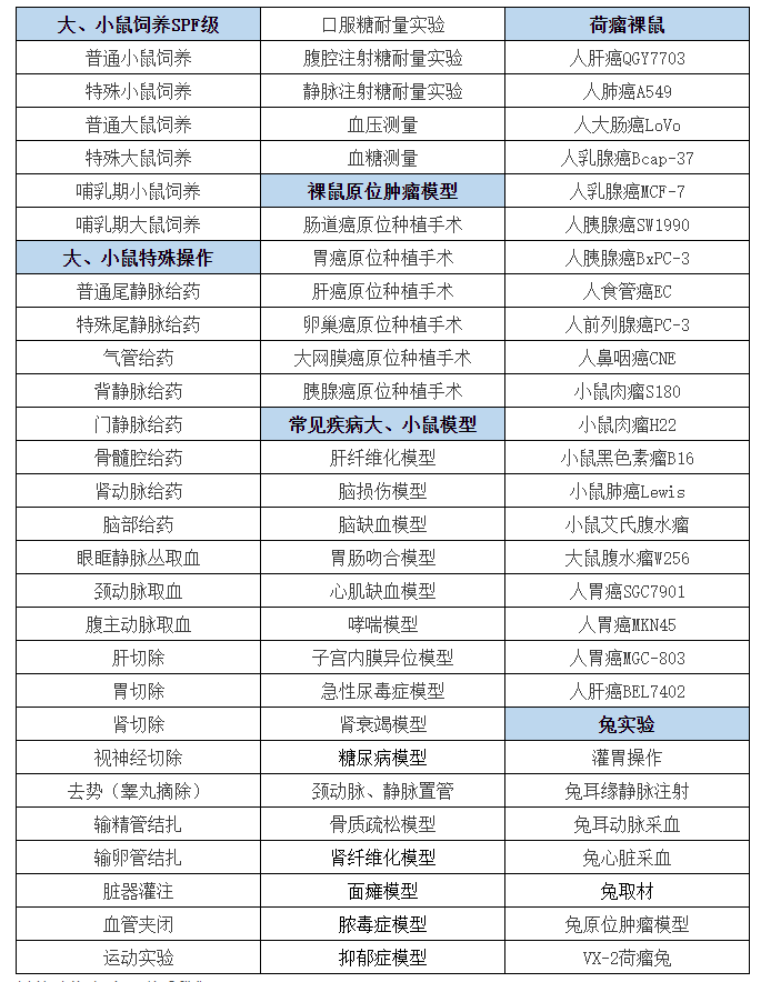 動(dòng)物模型.png